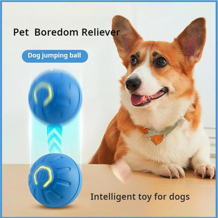 Smart dog jumping ball for dogs