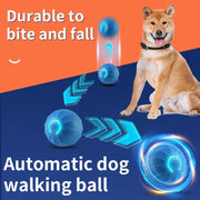 Smart dog jumping ball for dogs