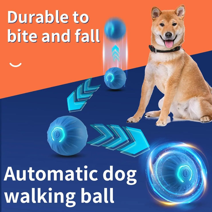 Smart dog jumping ball for dogs