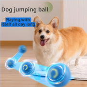 Smart dog jumping ball for dogs