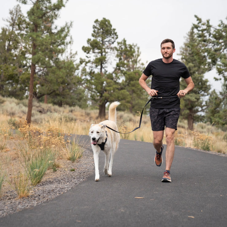 Hands free leash for running with the dogs