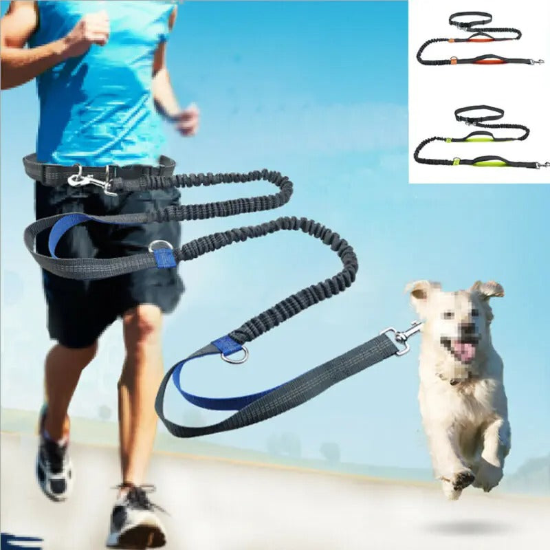 Hands free leash for running with the dogs