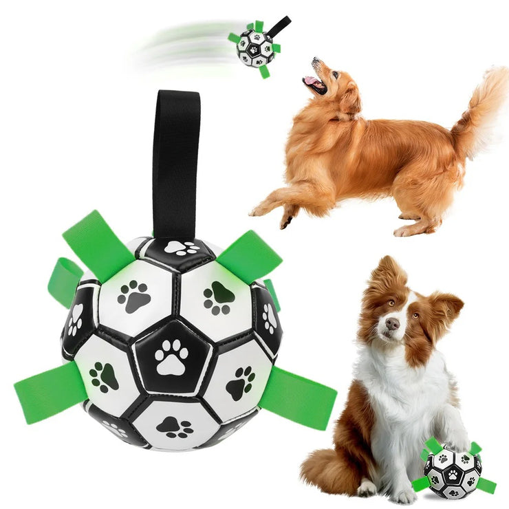 Play ball for dogs with handles