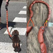 HotDog Dog's leash