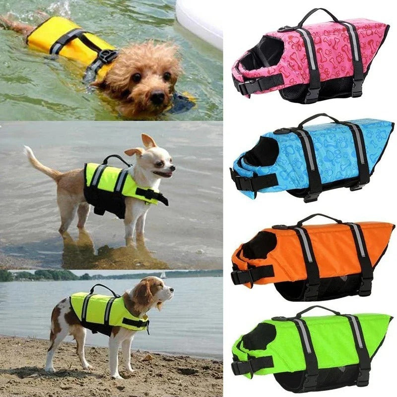 Life jacket for dogs - keeping the pet safe in the water