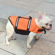 Life jacket for dogs - keeping the pet safe in the water