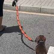 HotDog Dog's leash