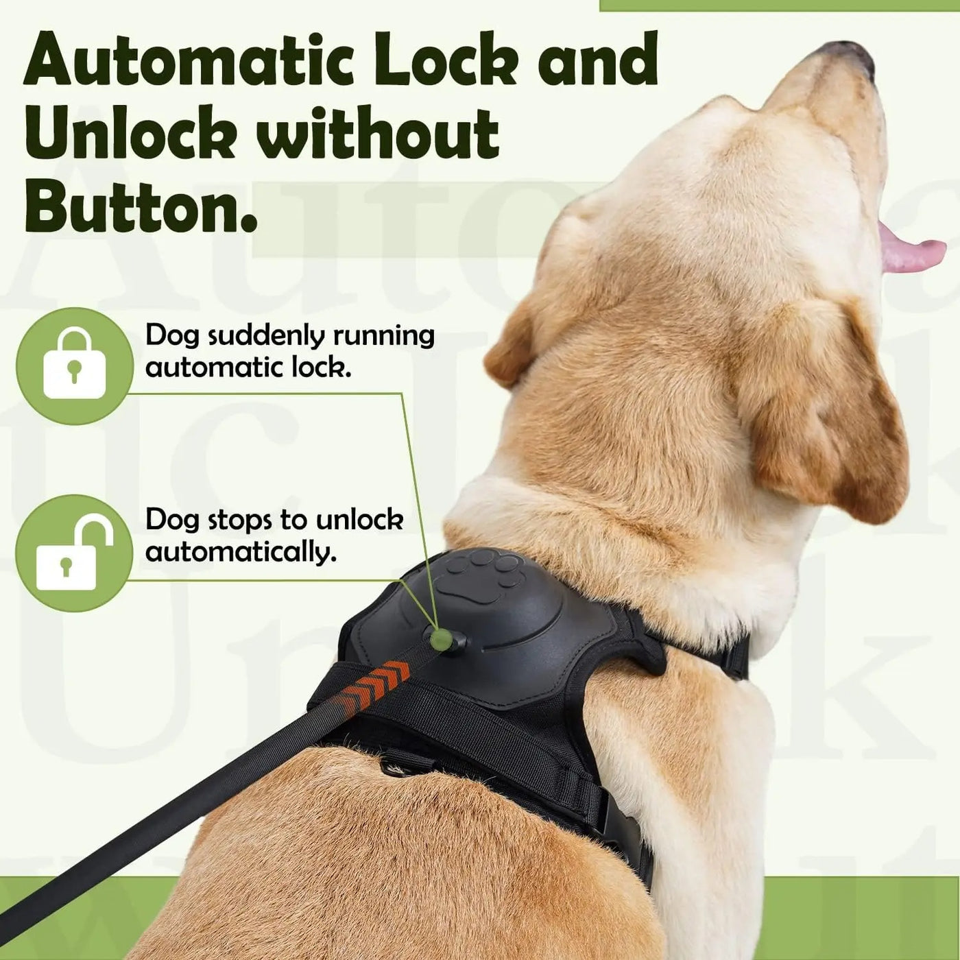 2 in 1 No Pull Dog Harness with Retractable Leash