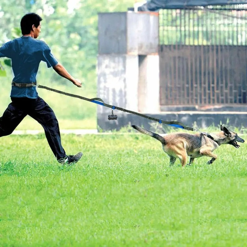 Hands free leash for running with the dogs