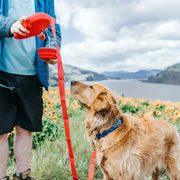 Multifunctional Dog Leash with Built-in Water Bottle, Bowl, Waste Bag