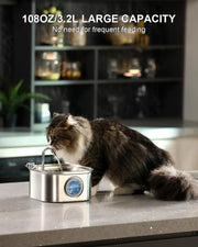 Water fountain for pets - the perfect answer to the thirst of dogs and cats