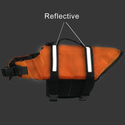 Life jacket for dogs - keeping the pet safe in the water