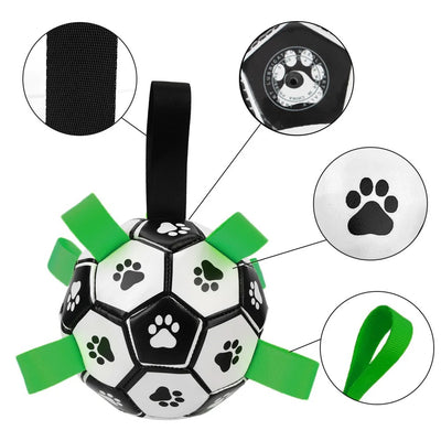 Play ball for dogs with handles