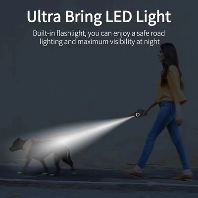 Dog leash with built-in lighting for night walking